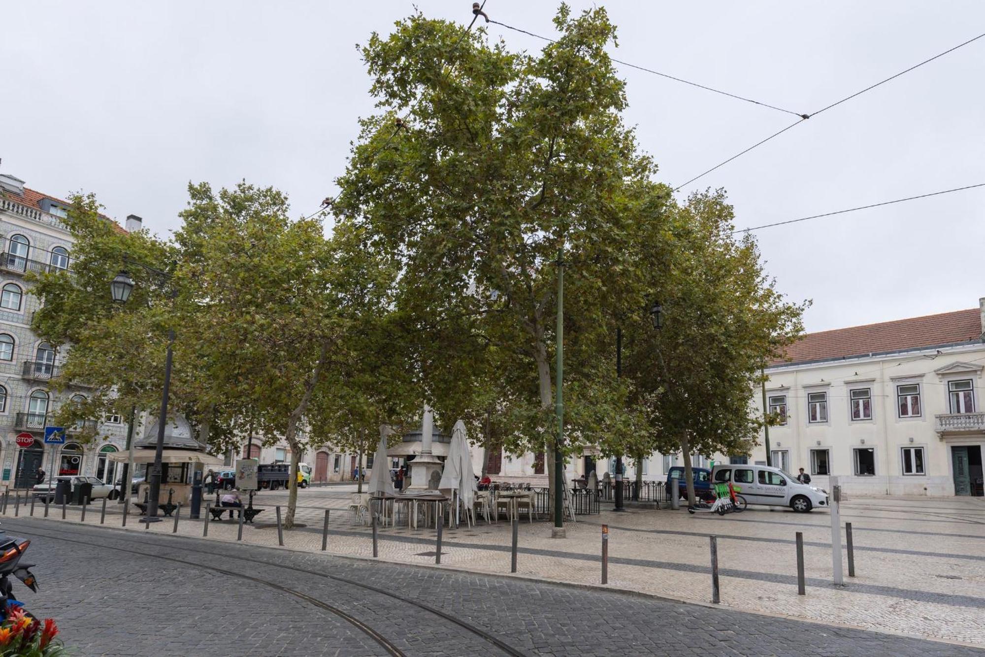 Chiado Center 1bdr Flat By Lovelystay Apartment Lissabon